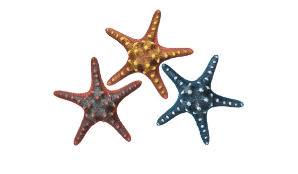 28315 NOBBY Aqua Ornaments "Starfish" l:6,5x w:16,5x h:5,5cm -  - PetsOffice