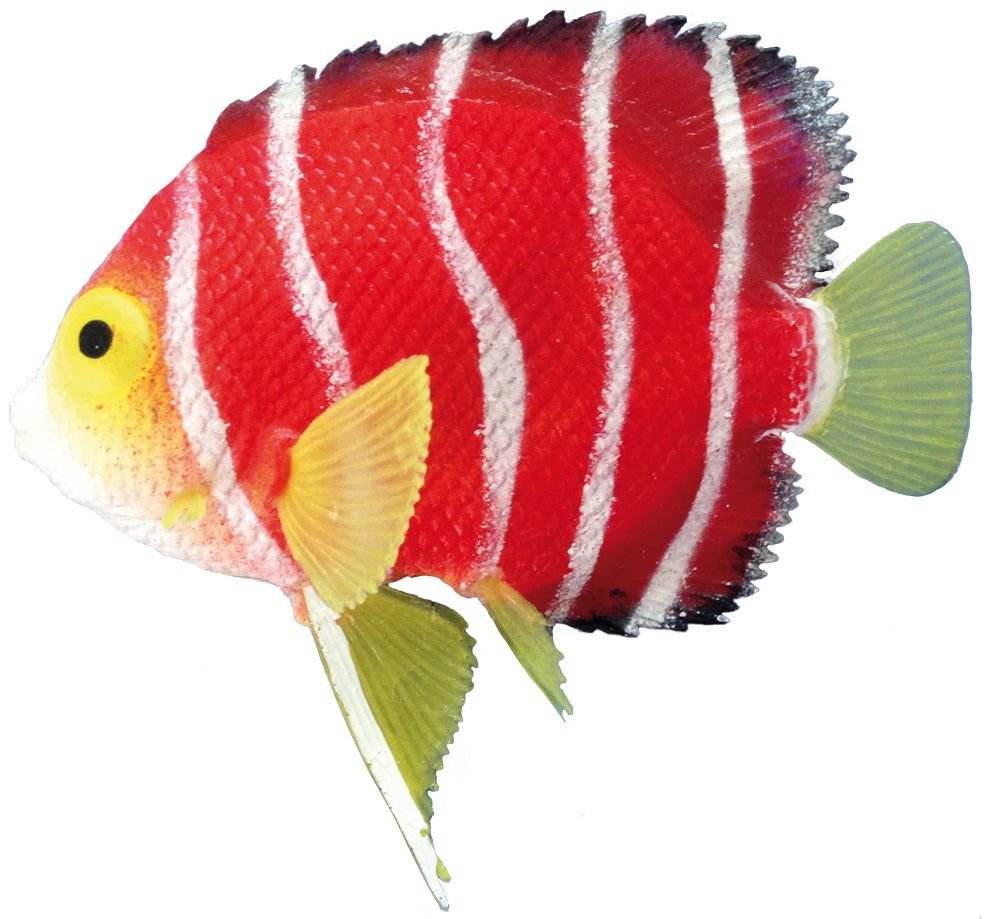 28468 NOBBY Fantasy  Decor "SKALAR"  L11 x  H9 cm -  - PetsOffice