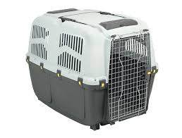 72162 NOBBY Carrier Box Size 7 IATA -  - PetsOffice