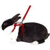 78060-05 NOBBY Set nylon for rabbits -  - PetsOffice