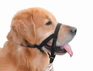 79279 NOBBY Easy Leader black size 4 - - PetsOffice