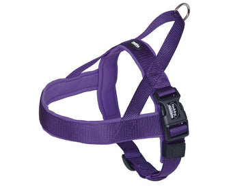 80535-38 NOBBY NORWEGIAN Harness "Classic Preno" purple/purple L: 75-98 cm + 62 cm; W: 40/45 mm