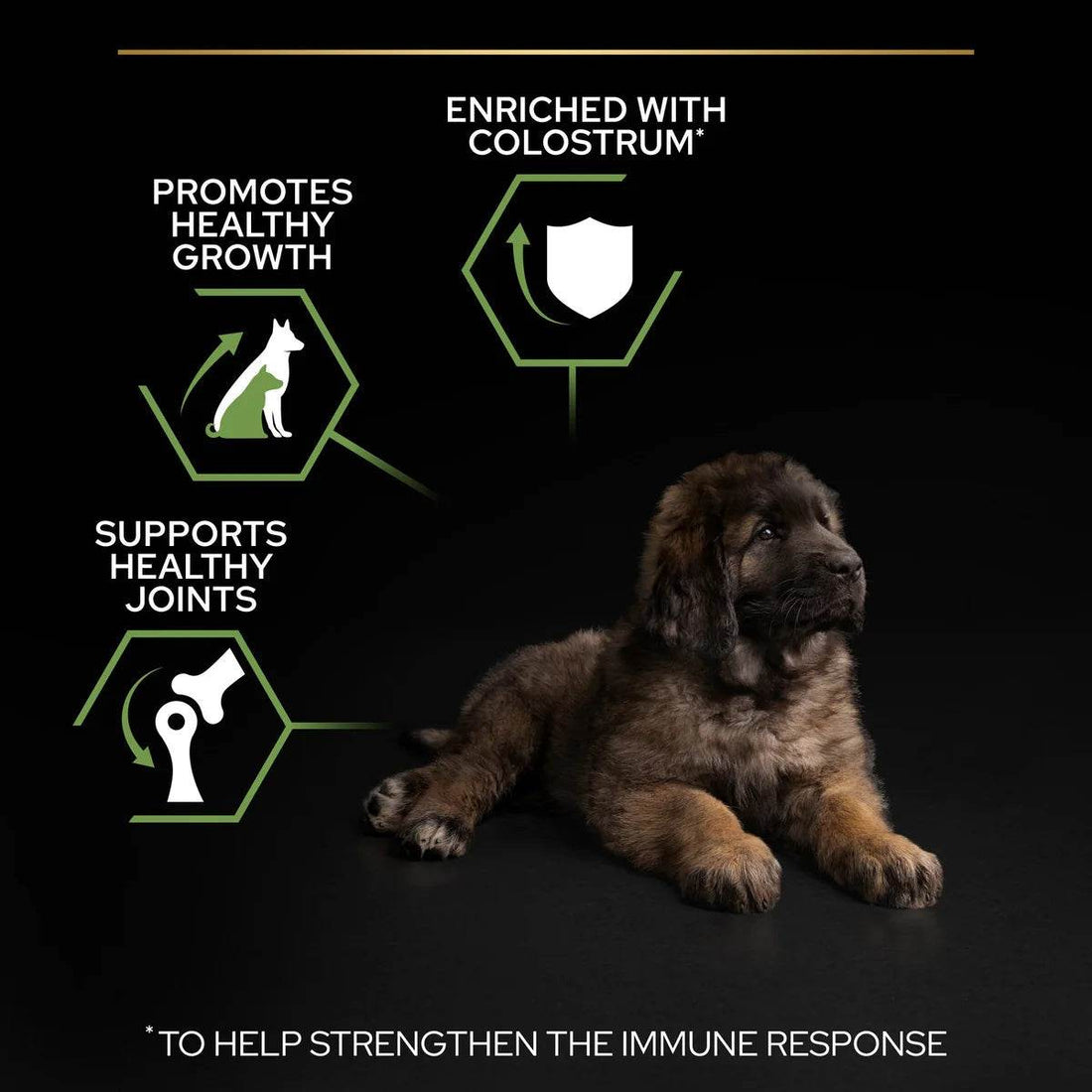 Pro Plan Large Robust Puppy Chicken 12kg -  - PetsOffice