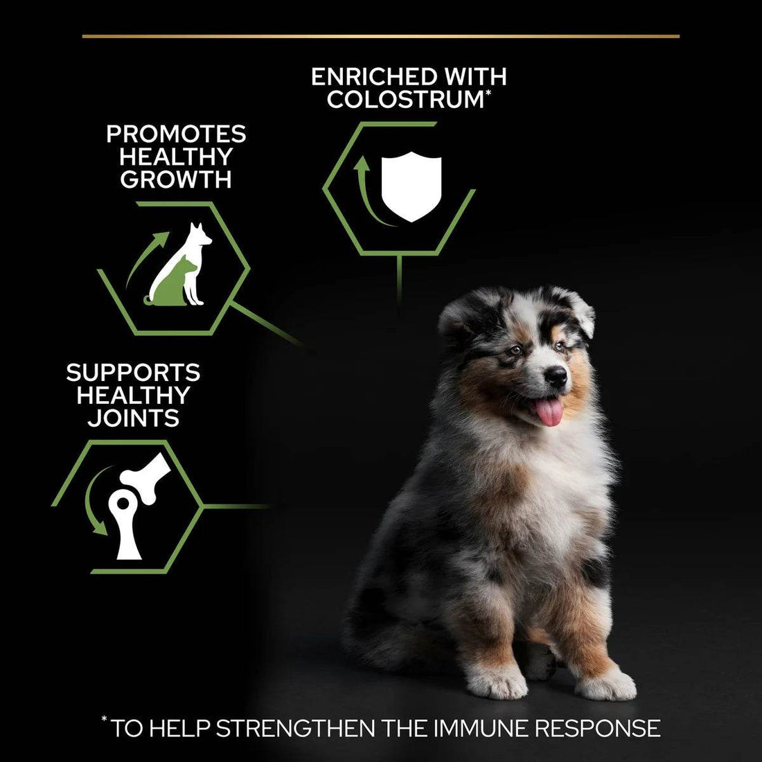 Pro Plan Medium Puppy Chicken 12kg -  - PetsOffice