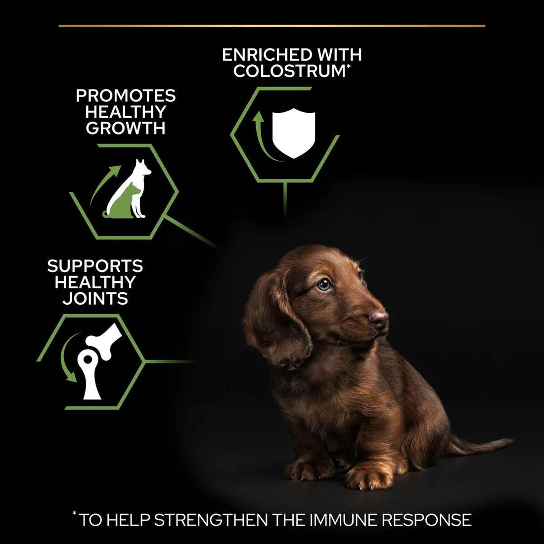 Pro Plan Small&Mini Puppy Rich In Chicken 3kg -  - PetsOffice