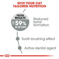 Royal Canin Dental Care Cat Dry Food 1.5kg -  - PetsOffice