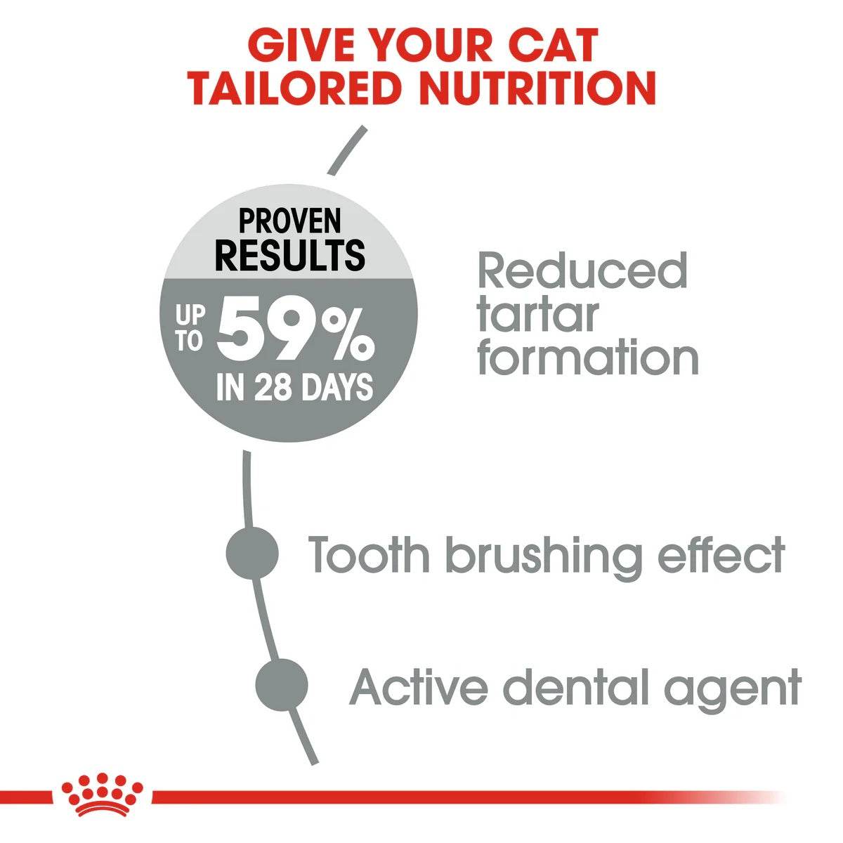 Royal Canin Dental Care Cat Dry Food 1.5kg -  - PetsOffice