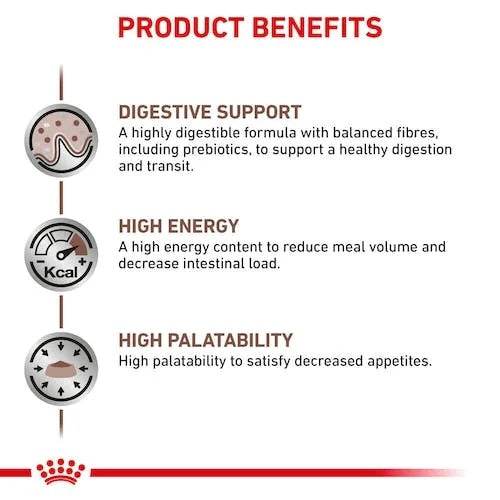 Royal Canin Gastrointestinal Cat Dry Food 400g -  - PetsOffice