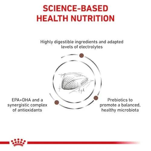 Royal Canin Gastrointestinal Cat Dry Food 400g -  - PetsOffice