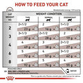 Royal Canin Gastrointestinal Cat Dry Food 400g -  - PetsOffice