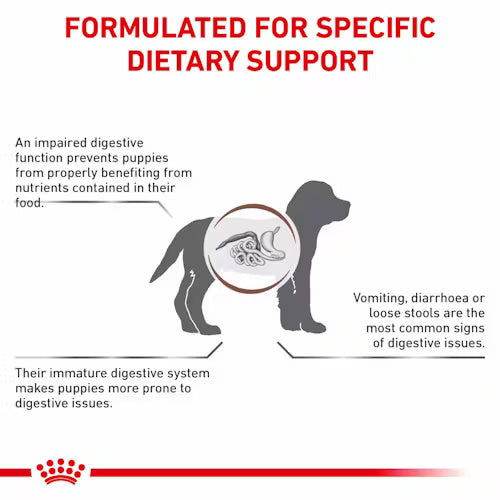 Royal Canin Gastrointestinal Puppy Dry Food 2.5kg -  - PetsOffice