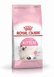 Royal Canin Kitten 36 10kg -  - PetsOffice