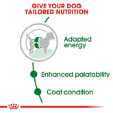 Royal Canin Mini Adult 4kg -  - PetsOffice
