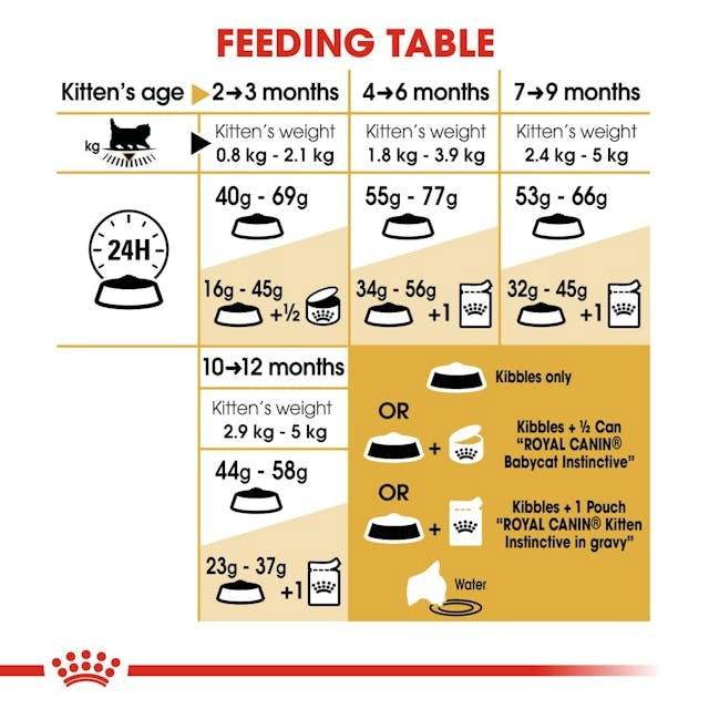 Royal Canin Persian Kitten 2kg -  - PetsOffice