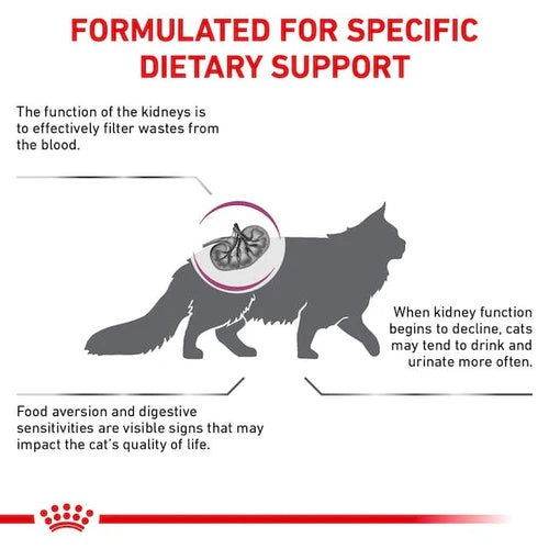 Royal Canin Renal Cat Dry Food 4kg -  - PetsOffice