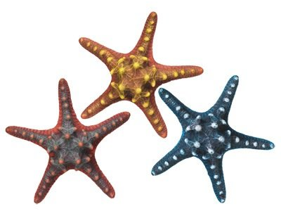 28315 NOBBY Aqua Ornaments "Starfish" l:6,5x w:16,5x h:5,5cm