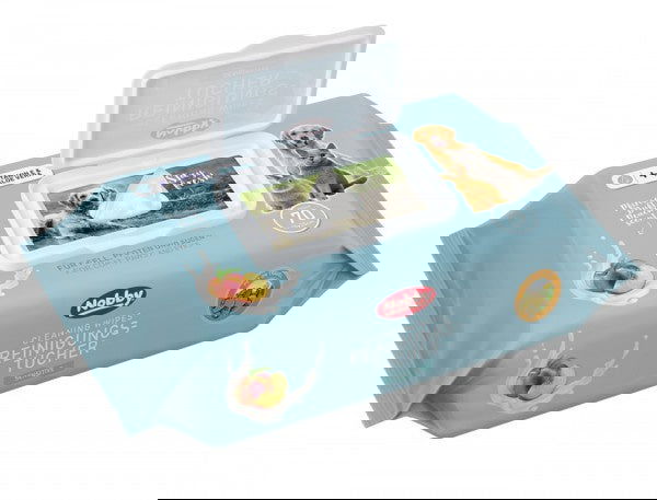 57181 NOBBY Universal cleaning wipe 70 pcs -  - PetsOffice