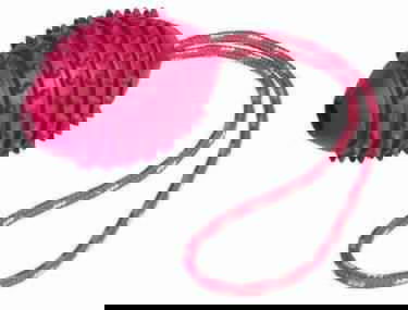 60020 NOBBY Rubber football red 39 cm -  - PetsOffice