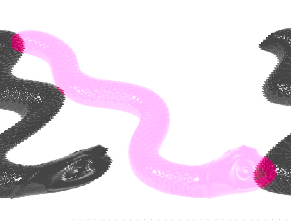 60030 NOBBY TPR Snake 42 cm -  - PetsOffice