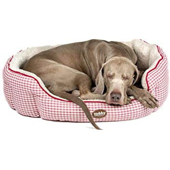 60815 NOBBY Comfort bed oval "XAVER" red l x w x h: 55 x 50 x 21 cm -  - PetsOffice