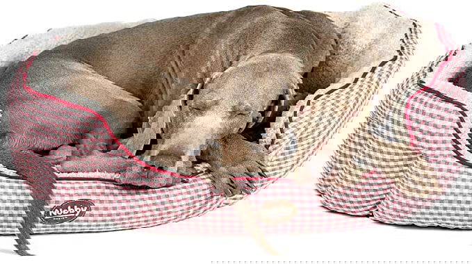 60817 NOBBY Comfort bed oval "XAVER" red l x w x h: 86 x 70 x 24 cm -  - PetsOffice