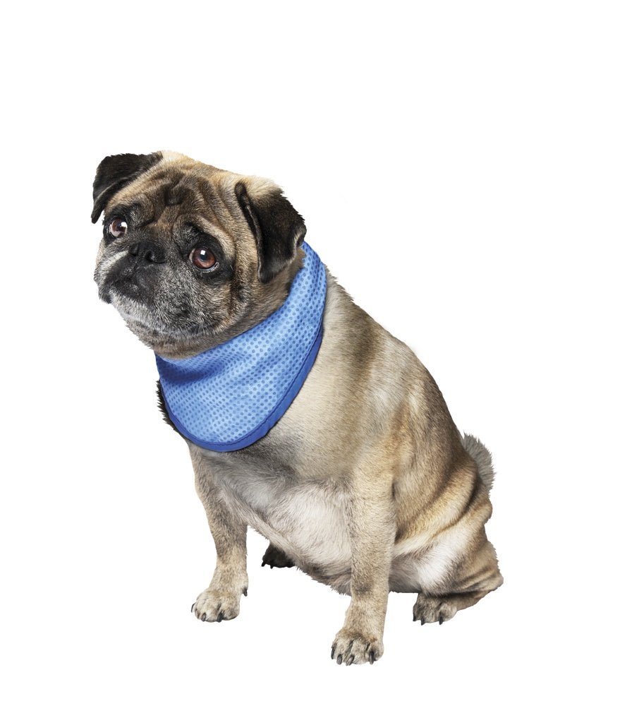 62225 NOBBY Pet Ice Bandana M: 30-43 cm -  - PetsOffice