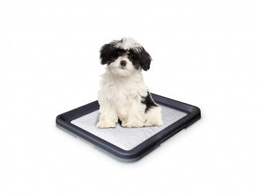 67151 NOBBY Doggy Trainer Including 1 Pad L - 62,5 x 48 x 3,8 cm -  - PetsOffice
