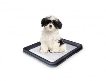67151 NOBBY Doggy Trainer Including 1 Pad L - 62,5 x 48 x 3,8 cm -  - PetsOffice