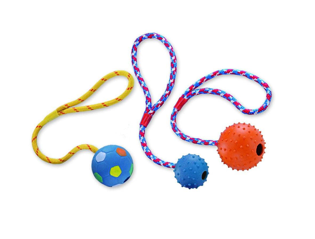69008 NOBBY Rubber ball with nops, bell and rope -  - PetsOffice