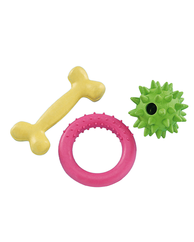 69026 NOBBY Puppy set rubber toy -  - PetsOffice