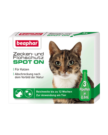 75435 NOBBY Spot-On For Cats