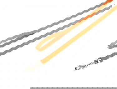 73163-04 NOBBY Leash "Classic" orange l: 120 cm; w: 25 mm -  - PetsOffice