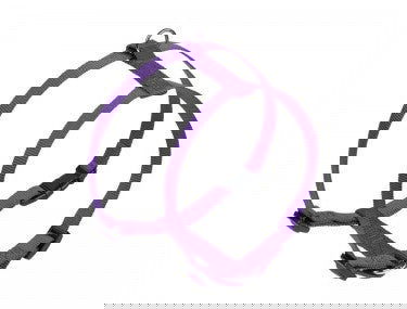 73166-38 NOBBY Harness "Classic" purple chest: 50/70 cm; w: 20 mm -  - PetsOffice