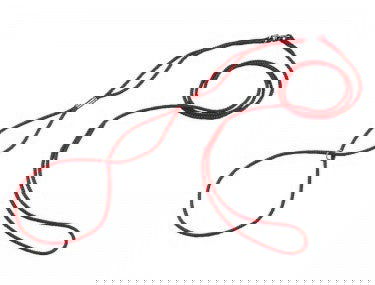 73260 NOBBY Show leash red l: 120 cm; w: 3 mm -  - PetsOffice