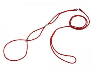 73260 NOBBY Show leash red l: 120 cm; w: 3 mm -  - PetsOffice