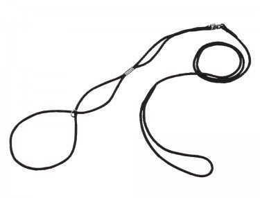 73264 NOBBY Show leash black l: 120 cm; w: 3 mm -  - PetsOffice
