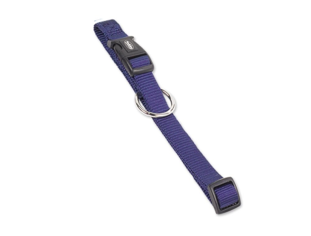 74701-06 NOBBY Collar "Classic" l: 20-35 cm; w: 10 mm -  - PetsOffice