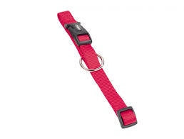 74703-01 NOBBY Collar "Classic" l: 40-55 cm; w: 20 mm -  - PetsOffice