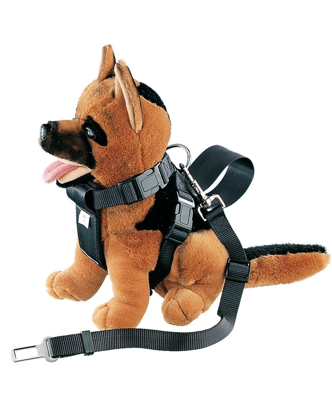 75325 NOBBY Harness incl. Car safety seat belt size L; neck: 68 cm; chest: 85 cm -  - PetsOffice