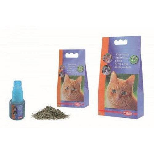 77501 NOBBY Catnip -  - PetsOffice