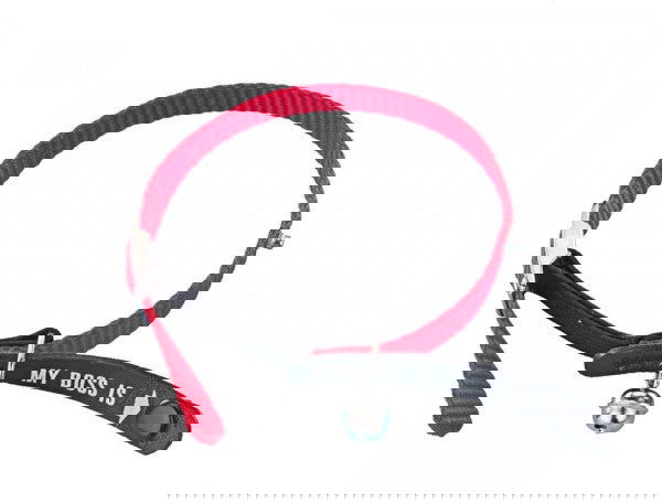 78038-01 NOBBY Address Cat collar "My Boss is" red -  - PetsOffice