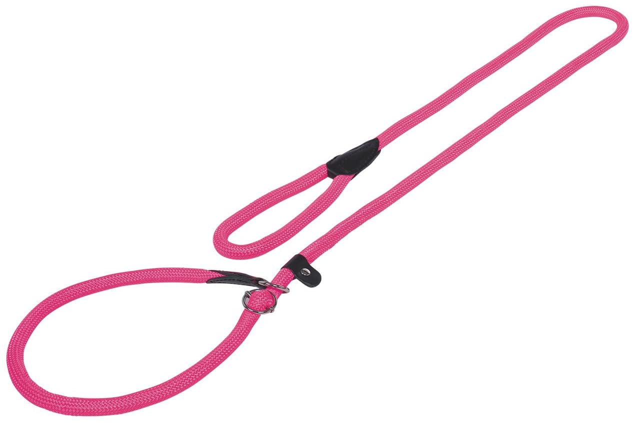 78190-37 NOBBY Retriever leash "FUN ROYAL" l: 170 cm; w: 13 mm -  - PetsOffice
