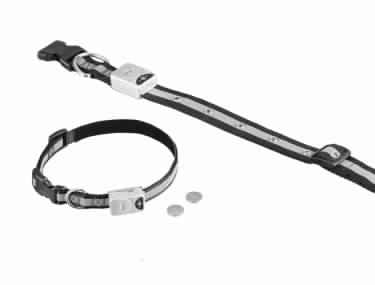 78211 NOBBY LED dog collar S; 15 mm; 30-40 cm -  - PetsOffice