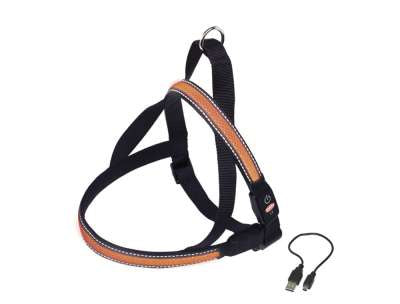 78236-04 NOBBY NORWEGIAN Harness "FLASH MESH" orange S:  l: 50-65 cm + 48 cm; w: 25 mm -  - PetsOffice