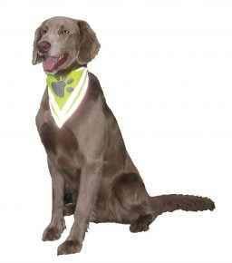 78318 NOBBY Safety Bandana -  - PetsOffice