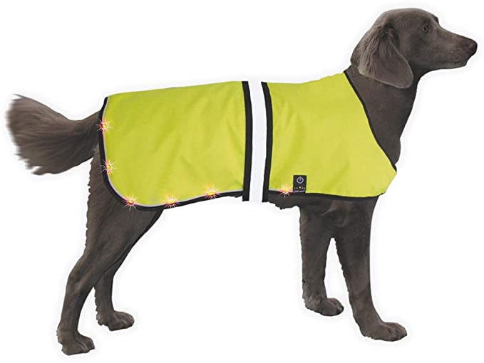 78322 NOBBY LED safety vest  Neck: 55-75 cm, Chest 70-95 cm -  - PetsOffice