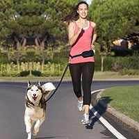 78560 NOBBY Jogging leash -  - PetsOffice