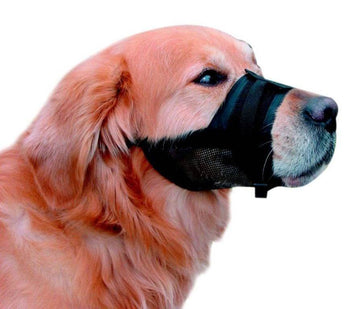 79282 NOBBY Muzzle adjustable black size 1 -  - PetsOffice