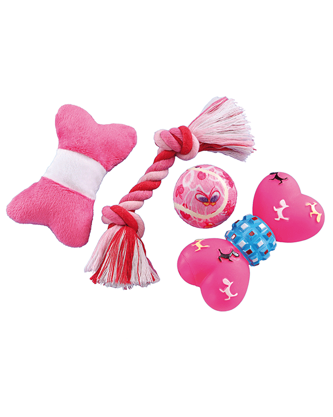 79391 NOBBY Starter Set -  - PetsOffice