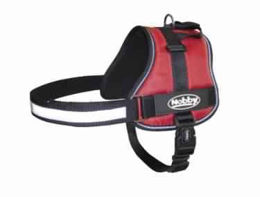 80583-01 NOBBY Harness "SEGURO" red waist: 72-90 cm; W: 40 mm -  - PetsOffice